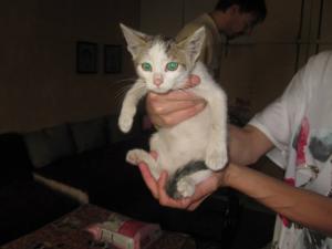 Прикачена снимка