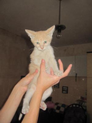 Прикачена снимка