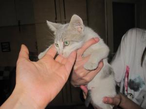 Прикачена снимка