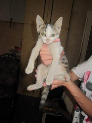 Прикачена снимка