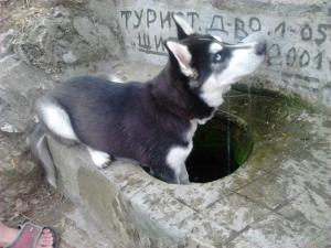 Прикачена снимка