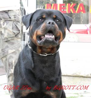 Прикачена снимка