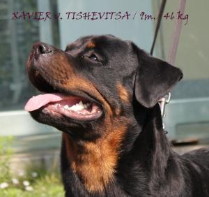Прикачена снимка