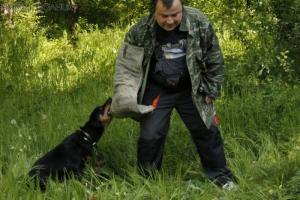 Прикачена снимка