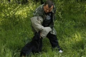 Прикачена снимка