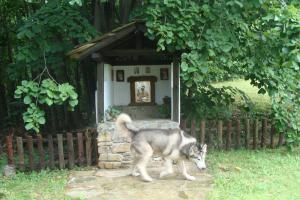 Прикачена снимка