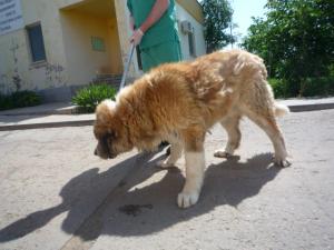 Прикачена снимка