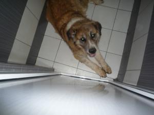 Прикачена снимка