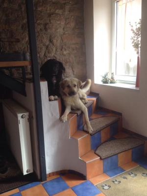 Прикачена снимка