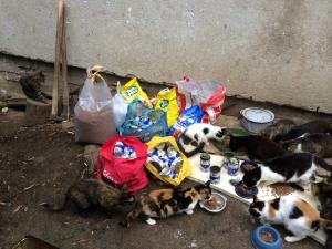 Прикачена снимка