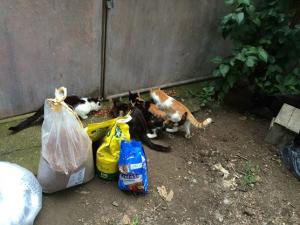 Прикачена снимка