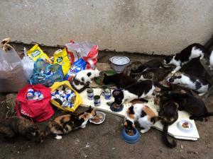 Прикачена снимка