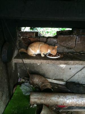 Прикачена снимка