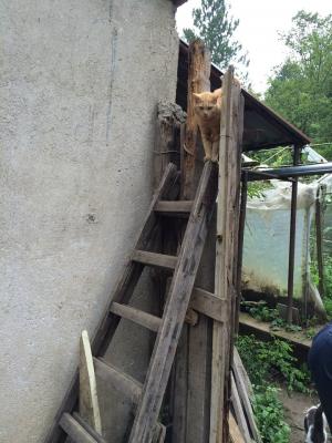 Прикачена снимка