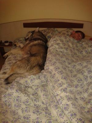 Прикачена снимка