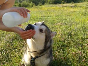Прикачена снимка