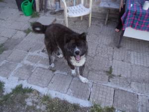 Прикачена снимка