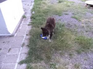 Прикачена снимка