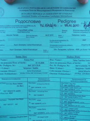 Прикачена снимка