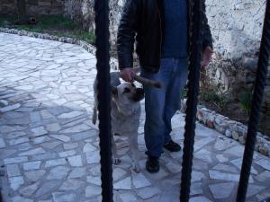 Прикачена снимка