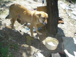 Прикачена снимка