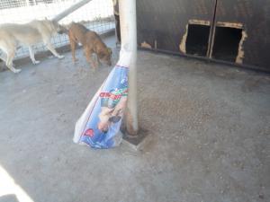 Прикачена снимка