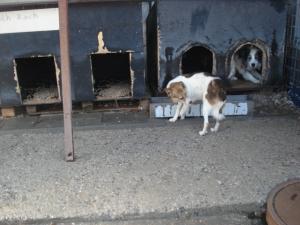 Прикачена снимка