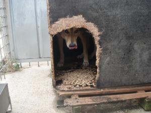 Прикачена снимка