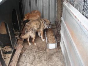 Прикачена снимка
