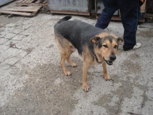 Прикачена снимка