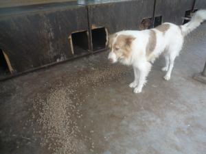 Прикачена снимка