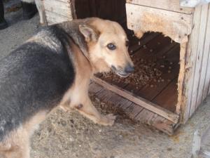 Прикачена снимка