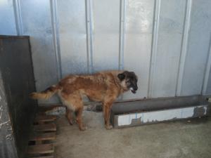 Прикачена снимка