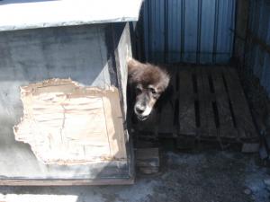 Прикачена снимка