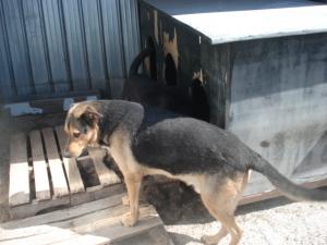 Прикачена снимка