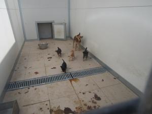 Прикачена снимка