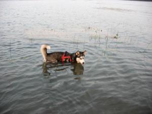 Прикачена снимка