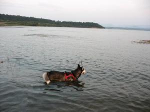 Прикачена снимка