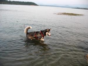 Прикачена снимка