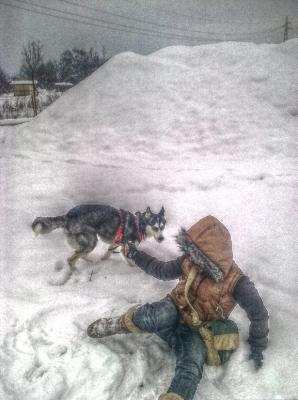 Прикачена снимка