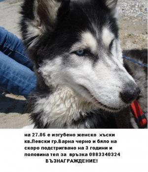 Прикачена снимка