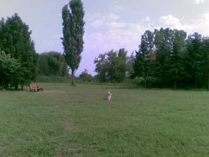 Прикачена снимка