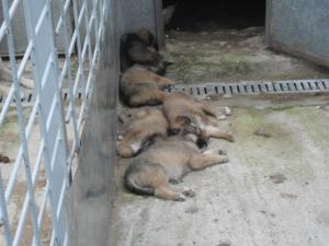 Прикачена снимка