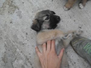 Прикачена снимка