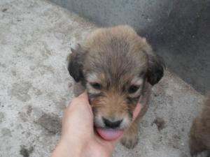 Прикачена снимка
