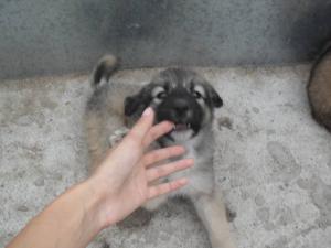 Прикачена снимка