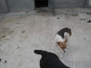 Прикачена снимка