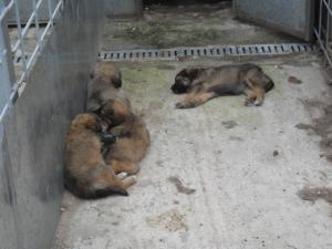 Прикачена снимка
