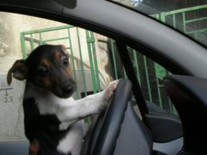 Прикачена снимка