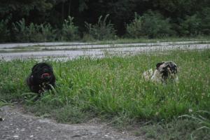 Прикачена снимка